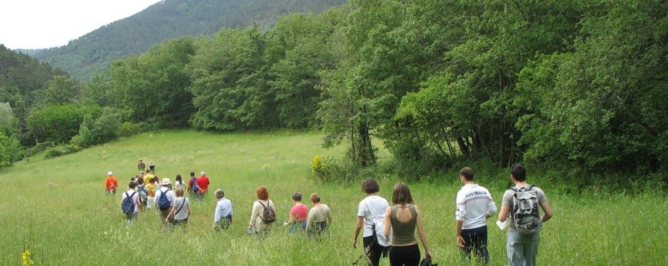 yoga anghiari