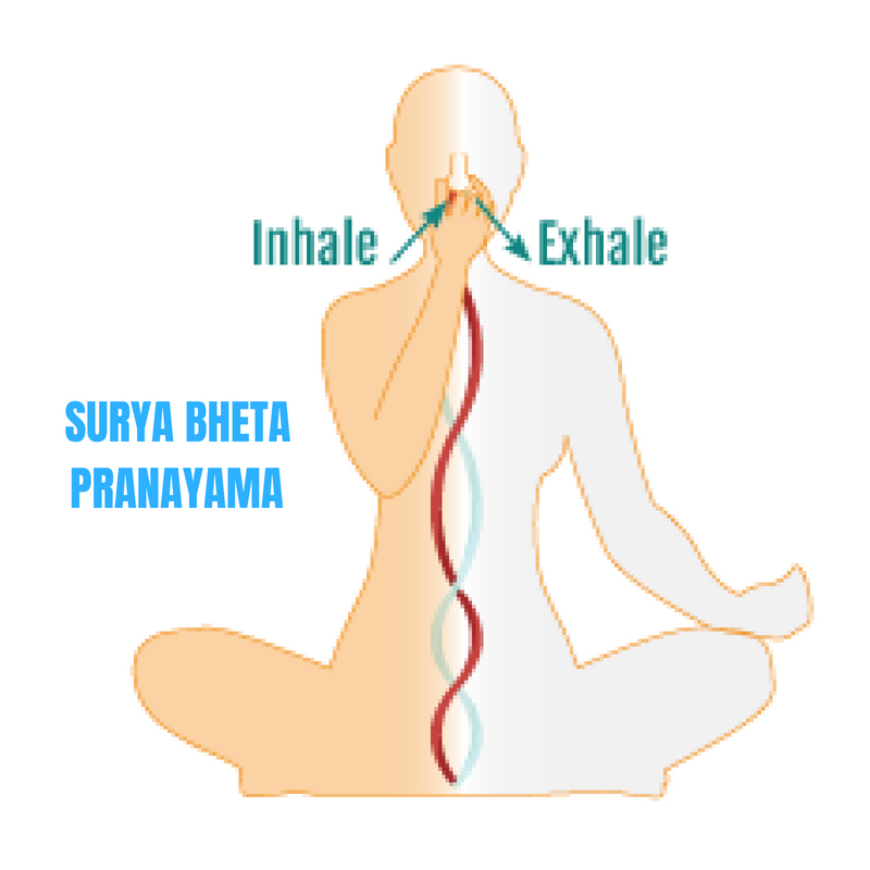 PRANAYAMA SURYA BHETA