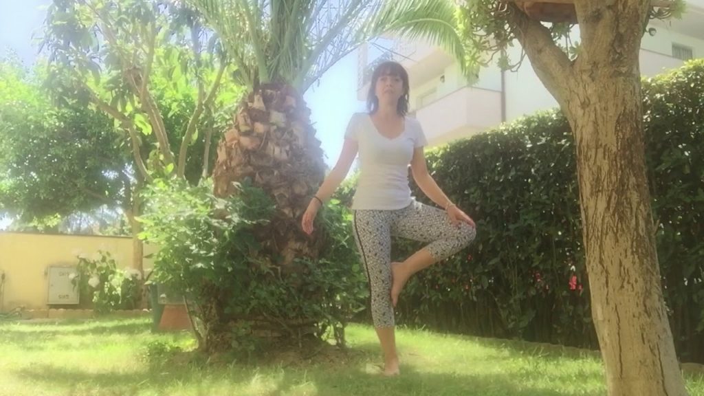 Asana albero