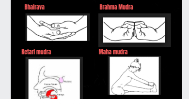 gesti mudra