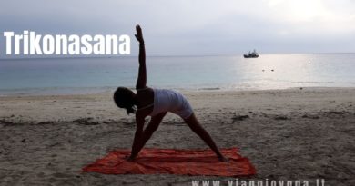 CERTIFICAZIONE YOGA ALLIANCE