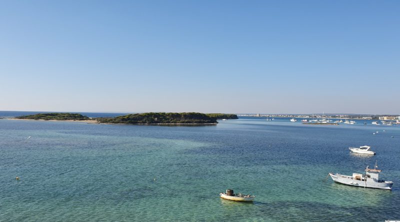 16/21 Maggio soggiorno yoga