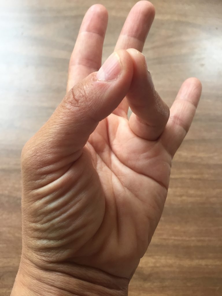 Mudra della Terra