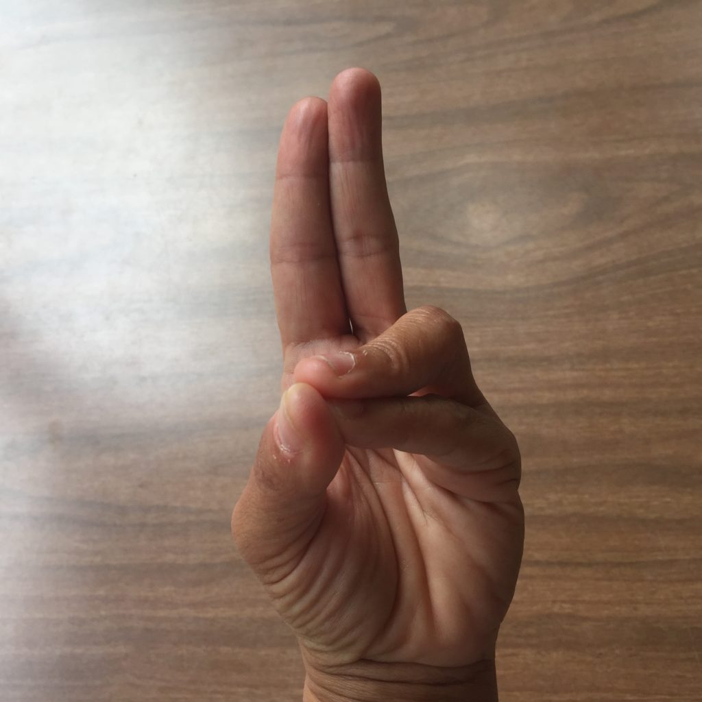 prana mudra