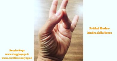 Prithvi Mudra