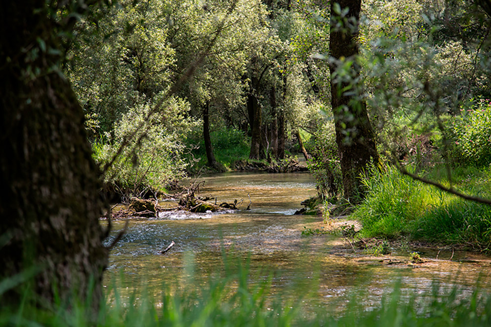 yoga al parco del brenta