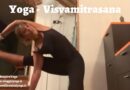 Visvamitrasana