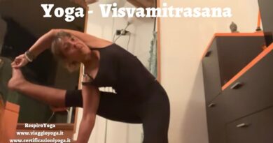 Visvamitrasana