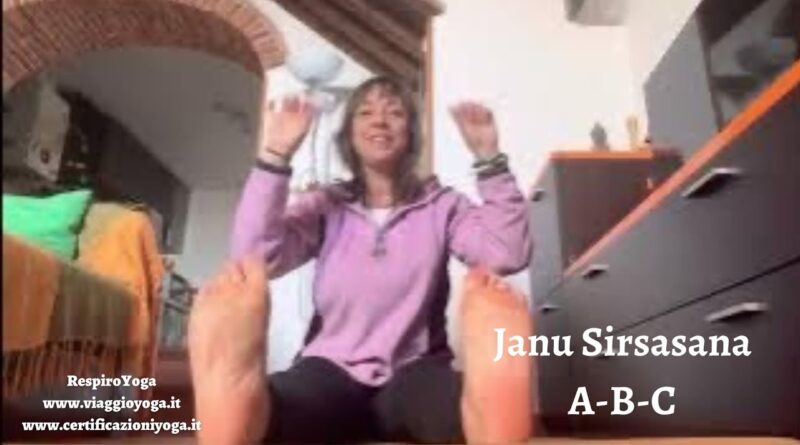 Janu Sirsasana A-B-C